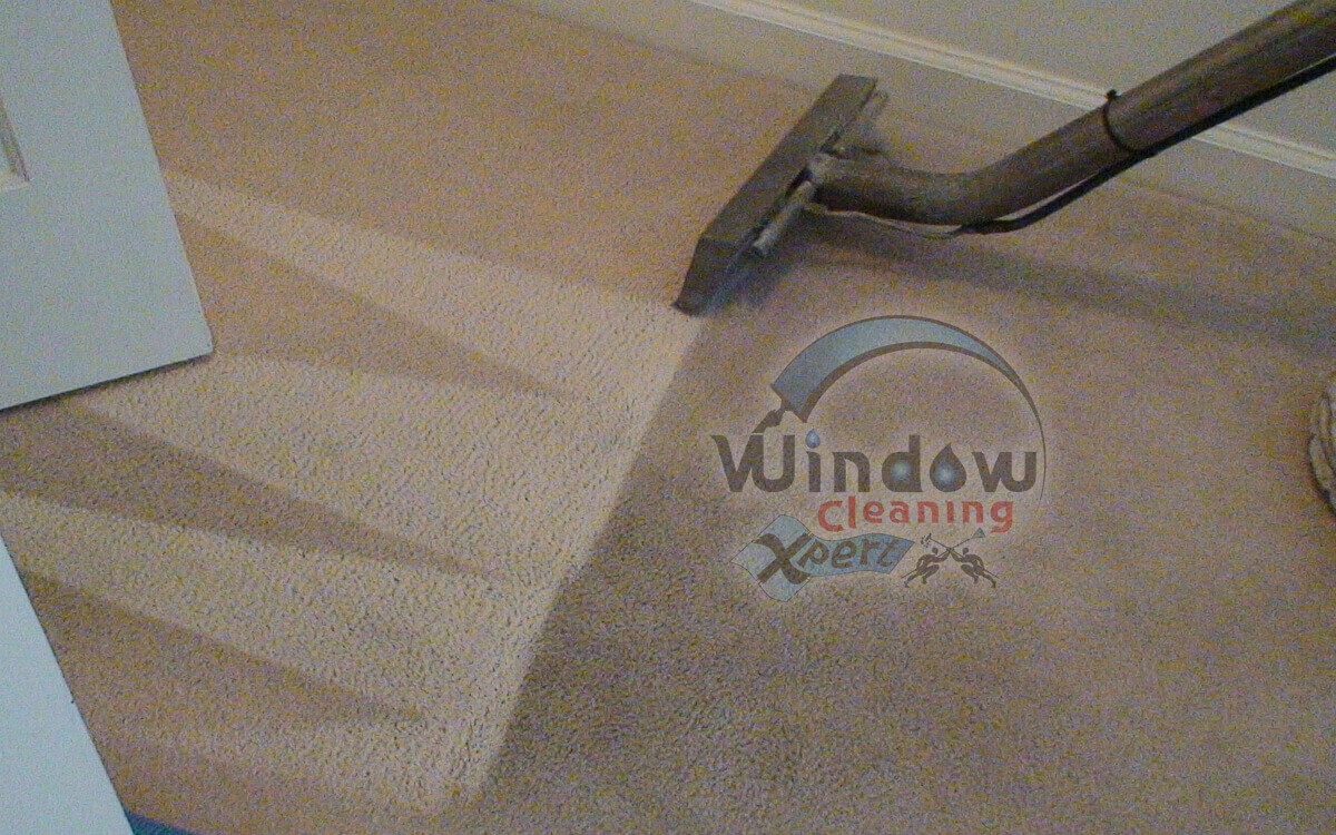 carpet clean steam cleaning